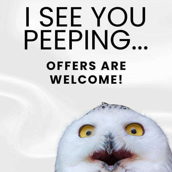 Offers are welcome! - Picture 1 of 1